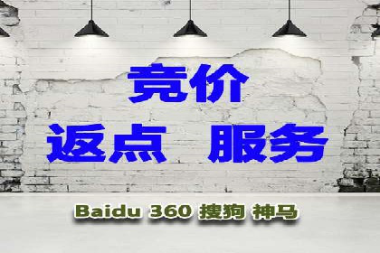 竞价开户推广成功案例解析